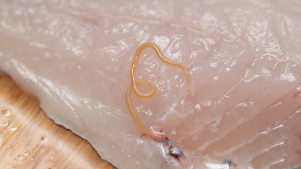 Formation à l’hygiène alimentaire : comment s’assurer que l’attestation sera recevable lors d’un contrôle ?